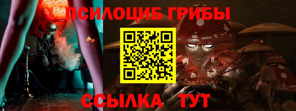 Дербент  Псилоцибиновые грибы Psilocybe  Псилоцибиновые грибы мухоморы  Вход с VPN 